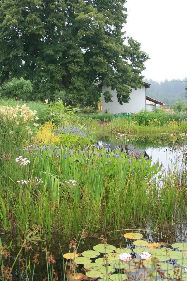 Gites & Spa De Charme " Ploum" Pouydesseaux Buitenkant foto